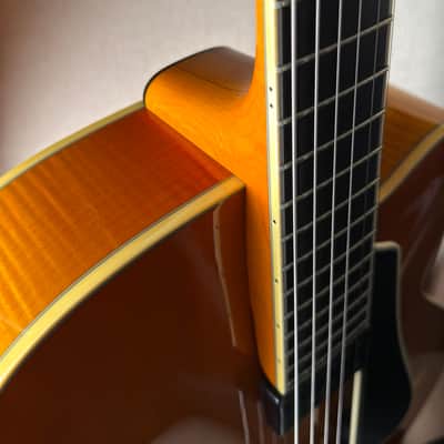 Kiso Ribbecke Archtop 17" image 8