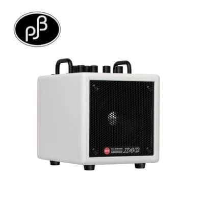 Extremely Portable! Phil Jones X4-C Nanobass Combo Amp White Single channel 35 Watt Multi Instrument Combo Amp, Only 5.3 lbs., Can be powered by Powerbank image 11