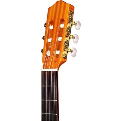 Cordoba Protege C1M Full-Size Nylon-String Acoustic Guitar Regular Natural Matte image 5