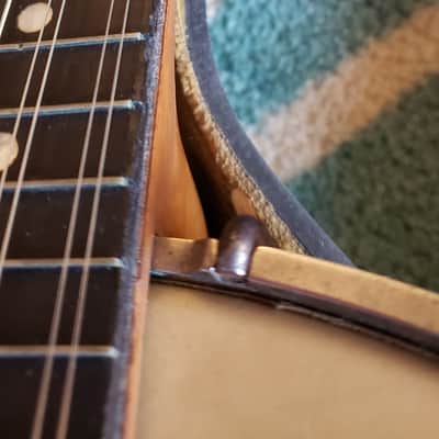 Vega Whyte Laydie Banjo Mandolin - Oliver Ditson Co. image 5