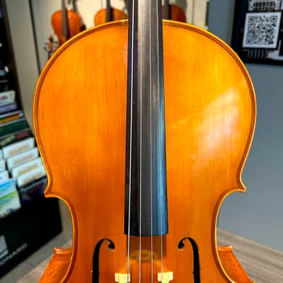 Student Cello: 1/2 Cello - Segue Concertino Plus 2016 - Oil varnish image 5
