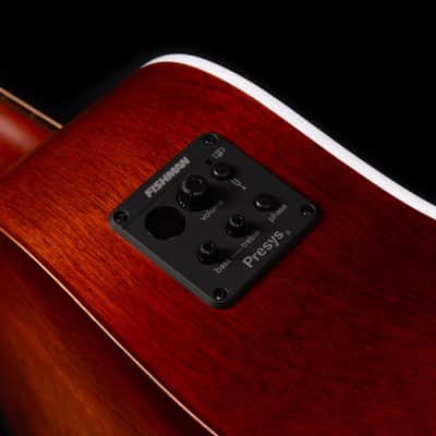 Seagull Model # 051922 Entourage Autumn Burst Presys II Dreadnought A/E NEW image 5