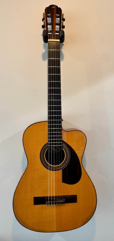 Buscarino Cabaret Custom Nylon String Classical Used (2014) image 1