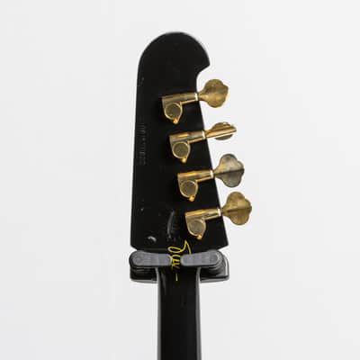 Epiphone Rex Brown Thunderbird Bass, Ebony | Demo image 6