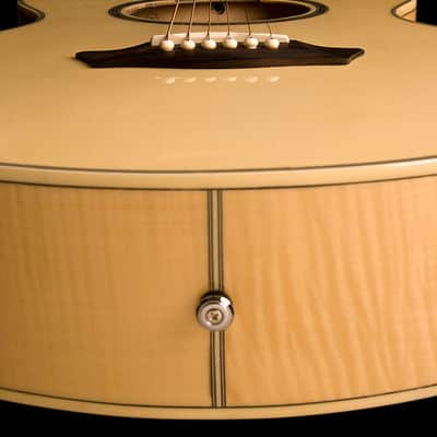 Washburn EA20 Festival Acoustic Electric Guitar Natural image 3
