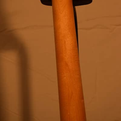 Atkinson P Bass 2012 Sunburst image 17