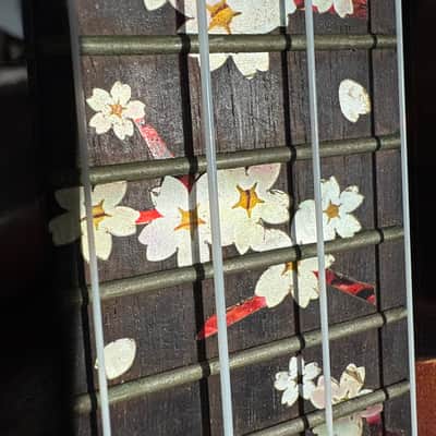 Cordoba Protege Ukelele Uke 2015? - Wood Nice Case Stand Like New image 19