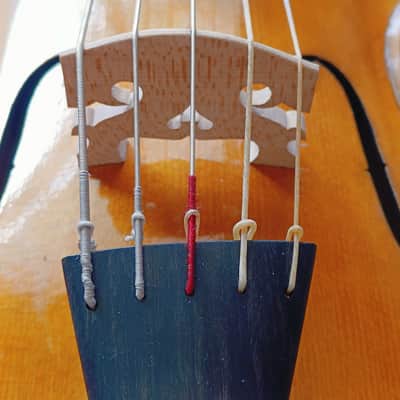 Radbon Violoncello da spalla 2025 image 5