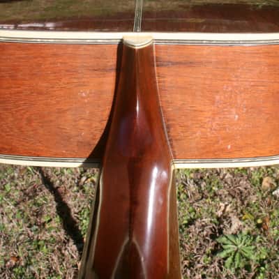 1975 Yairi YW-600 Dreadnought Guitar New Jacaranda Natural+Vintage Flight Case image 15