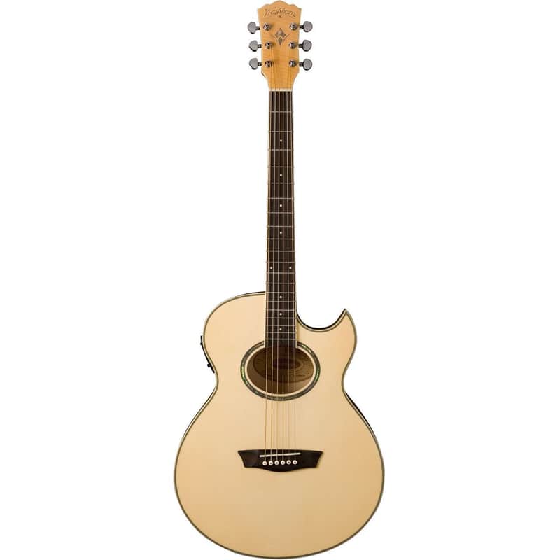 Washburn Festival EA20 image 1