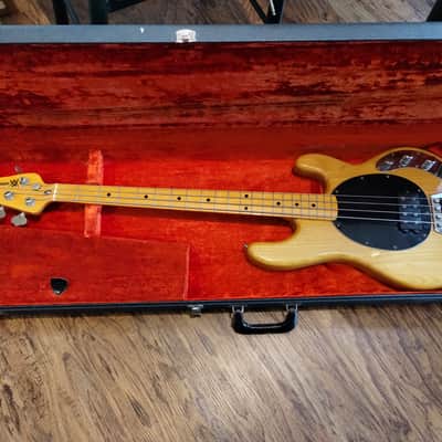 Music Man StingRay with Maple Fretboard 1978 - Natural image 1