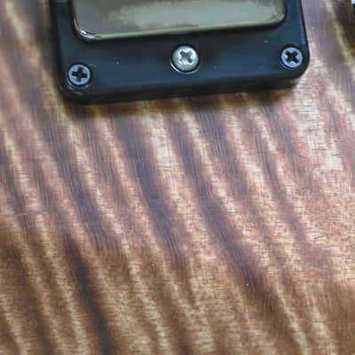 PRS Wood Library 10-top 2024 DGT Copperhead with Korina back and neck image 23