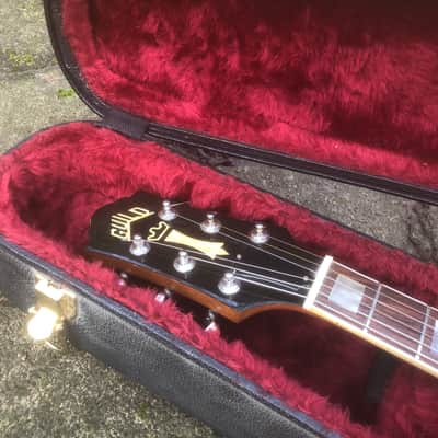 Guild Bluesbird image 19