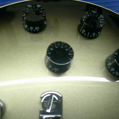 Gibson Adam Jones Signature Les Paul Standard 2022 - Present - Antique Silverburst image 14