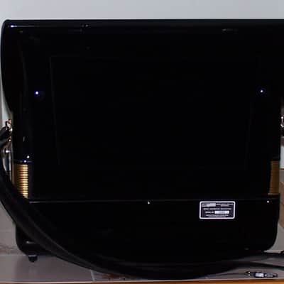 Ottavianelli Artist Special MIDI Amplified Accordion image 5