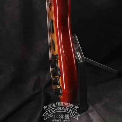 Fernandes 1979-1981 FPM-100 image 13