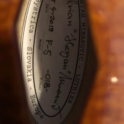 "The Hogan" # 18 Custom F-5 by Adrian Minarovic of Slovakia image 13