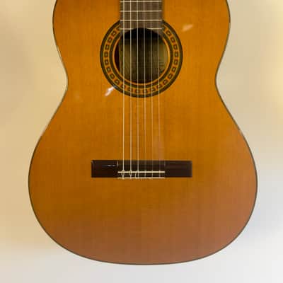 Cuong Classical Guitar 2002 w Barbera Pickup image 1