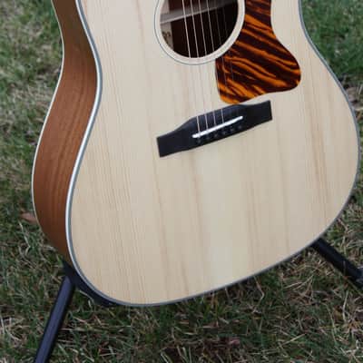 Eastman E1SS Ltd Edition image 2