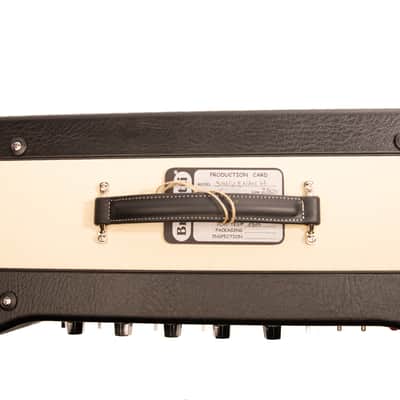 BRUNETTI SINGLEMAN H 50/15/2W HEAD 230 or 120V image 4