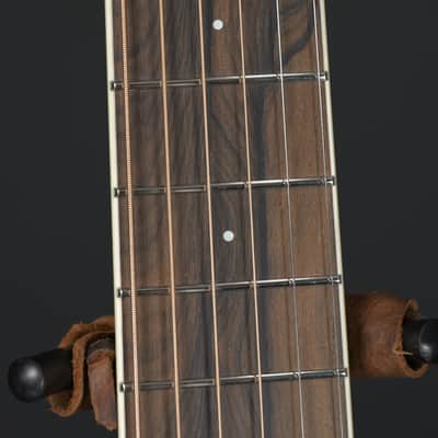 Bourgeois Banjo Killer Short Scale image 5
