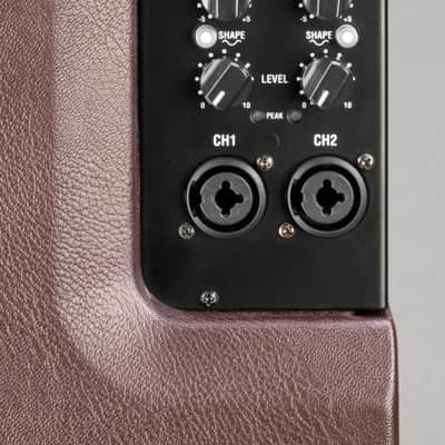 Laney Acoustic Combo Amp 2x8 2 Channel A-DUO image 7