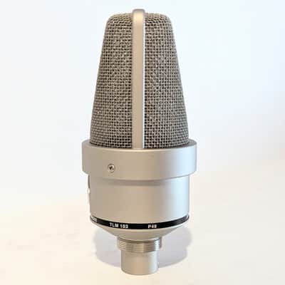 Immagine Pristine TLM 103 with Hard Case - Shock Mount - Pop Filter - 7