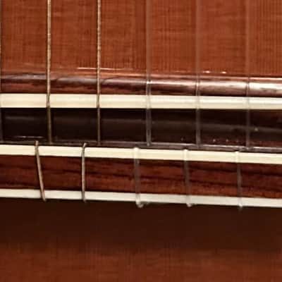 Yulong Guo Ziricote Concert 2016 #14 image 14