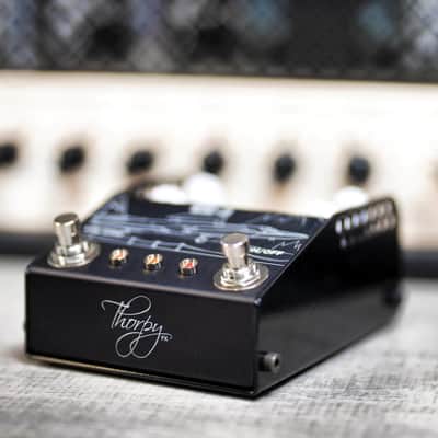 ThorpyFX ER-2 Uni-Vibe image 4
