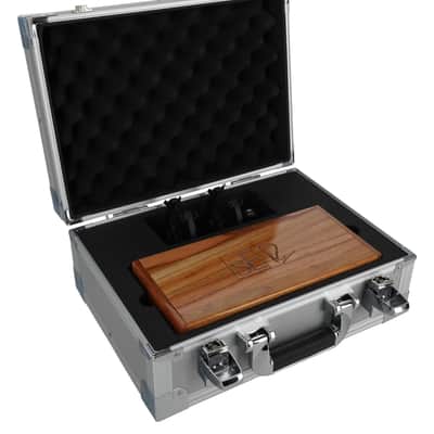 Se Electronics RN17 Recording Studio Microphone w/Changeable Capsule+Monitors image 15