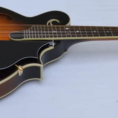 Orpheum OM6SW F-Style Mandolin-All Solid Top, Back & Sides- by Tacoma image 1
