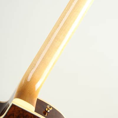 Kikuchi Guitars JF16 Imbuia Burl 2025 image 7