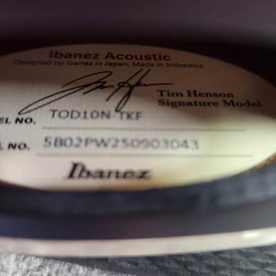 Brand New Ibanez TOD10N Tim Henson Signature Model Nylon String Guitar image 13
