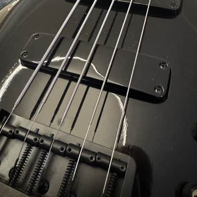F Bass BN5, brand new with waterproof ATA road case image 4
