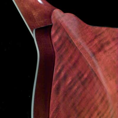Saga AM-10 A-Model Mandolin Kit image 4