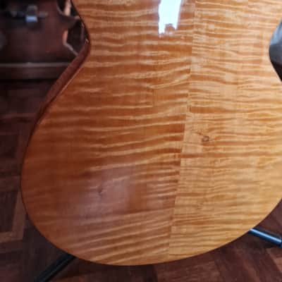 Fibonacci ROMA 2020, Natural , Gloss image 16
