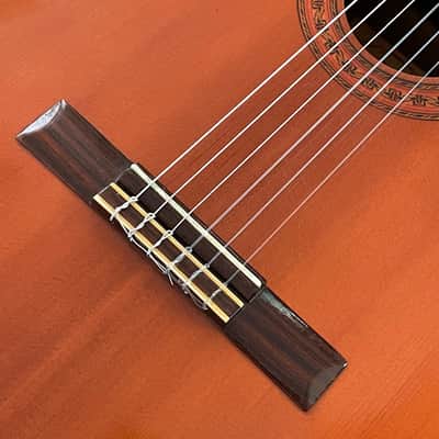 Lyle C-620 - Perfect Nylon String Guitar! - Solid Red Cedar Top! - Pro Neck Repair! - 1970’s Made in Japan 🇯🇵! - image 11