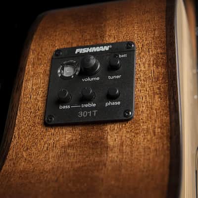 Washburn Woodline 10 Series Acoustic-Electric Guitar - Standard image 4