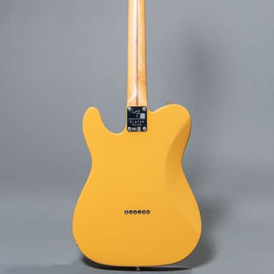 Fender Player Plus Nashville Telecaster 2022, Butterscotch image 5