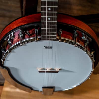 Washburn B8 Banjo Pack image 4