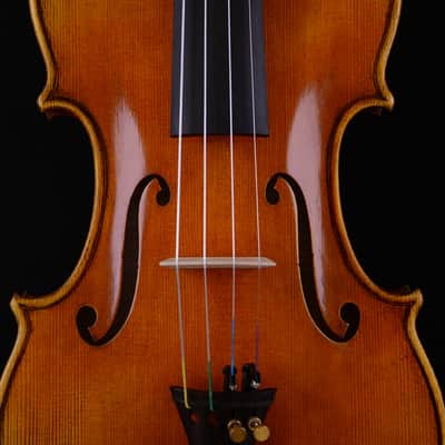 Stunning Sounding Violin Guarneri Violin No. W065 imagen 10