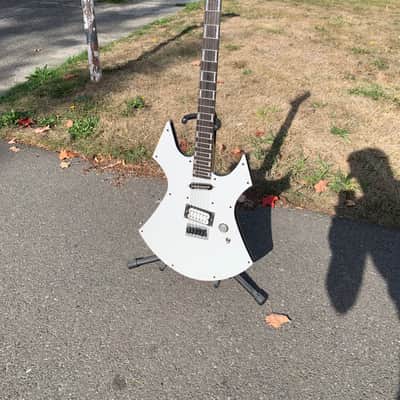 Custom R L James Guitar Custom Animal 2026 - Custom image 18