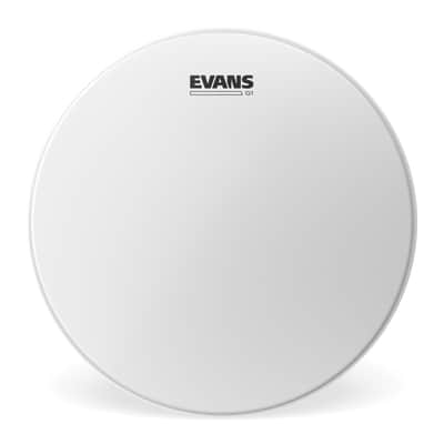 Evans B14G1 G1 Tom Batter 14" (Coated) - Tom Head image 1