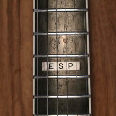 ESP M-II Urban Camo NTB 2008 image 11
