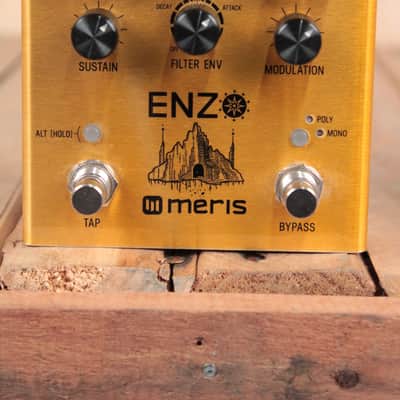 Meris "Enzo" - Synthesizer Guitar Effects Pedal (Used) image 1