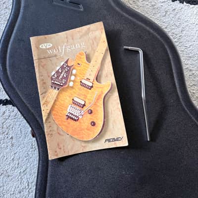 Peavey Wolfgang 1997-98 Patent Pending image 14
