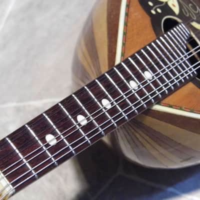 fine vintage MIGMA all solid luthier Wunderlich quality 8string bowlback MANDOLIN Germany image 15