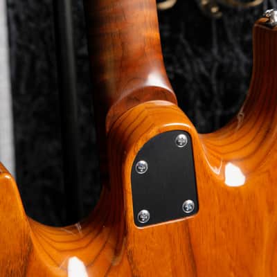 Patrick James Eggle 96 Drop Top Electric Guitar image 17