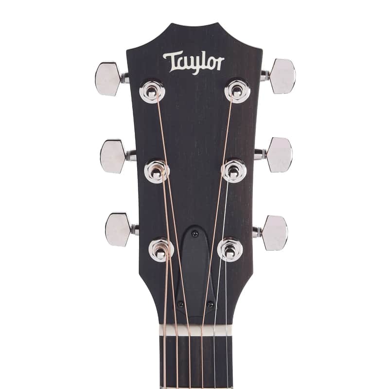 Taylor 224ce Plus Special Edition image 5