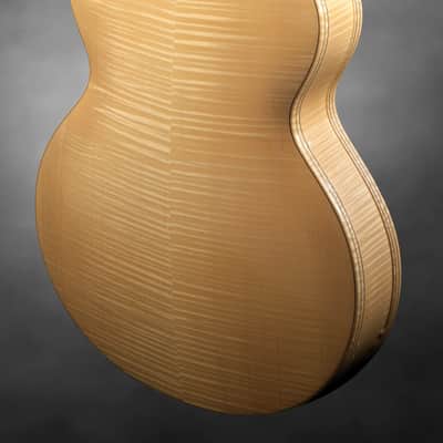 Schneider Guitars / The SoHo17 image 6